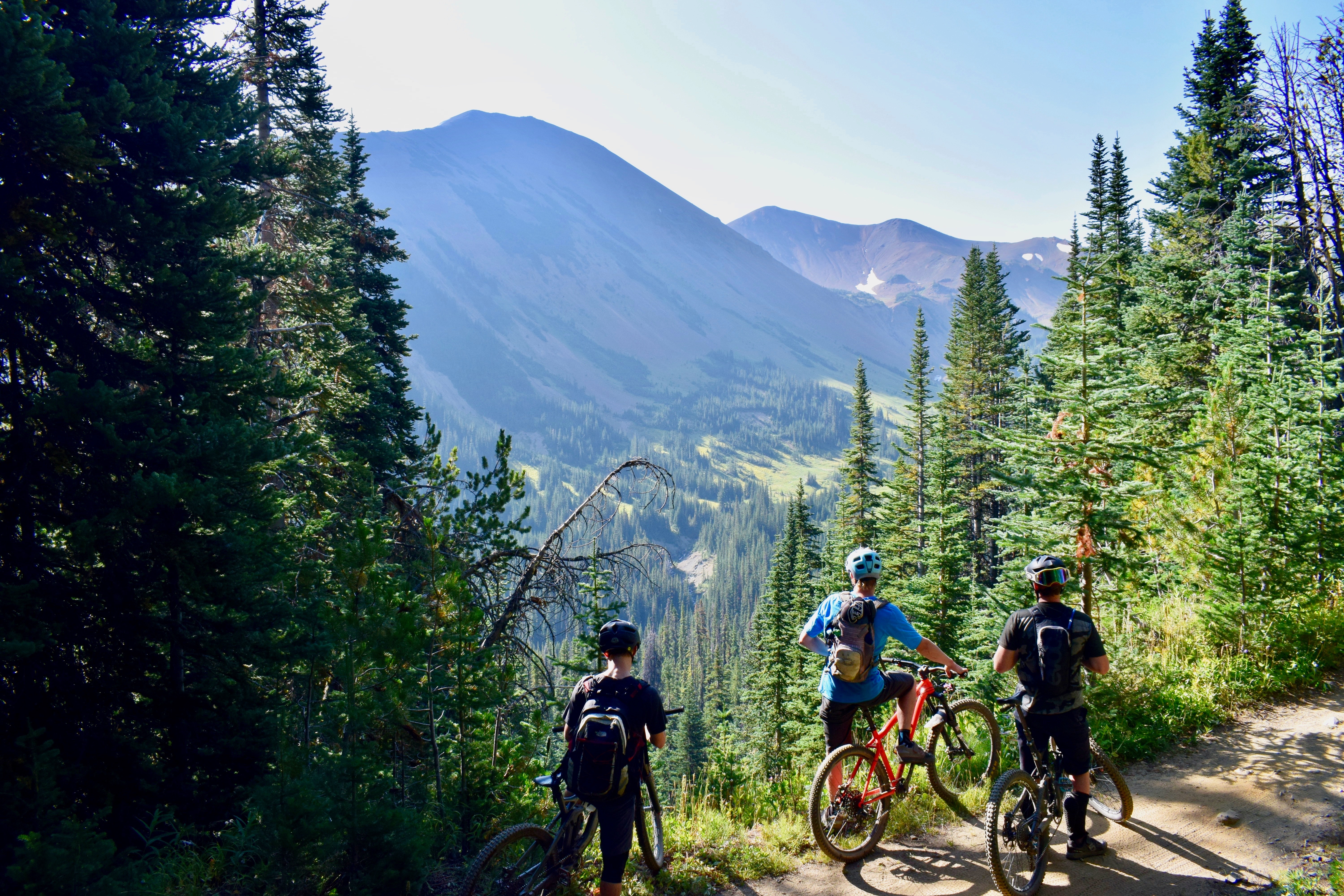 Cycling tour operators' insurance